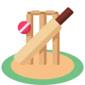 Cricket